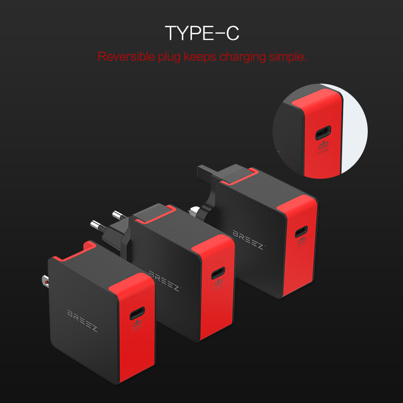 Wall Charger PD P1