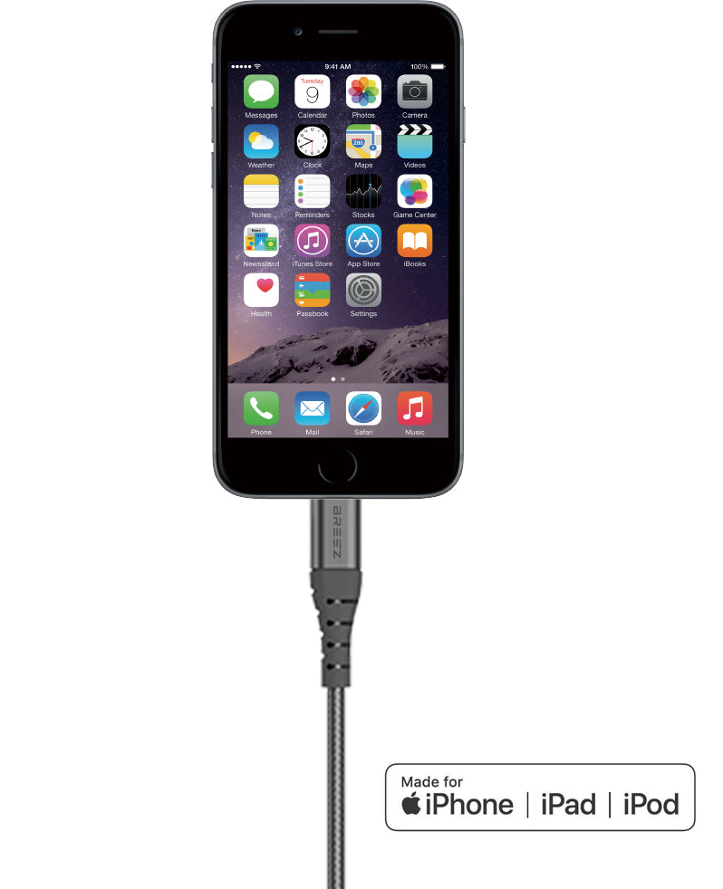Cable L1